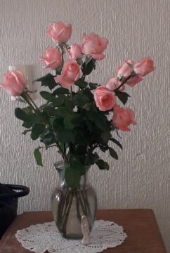 Imágenes para rendir homenaje a persona finada, estas pueden variar en su contenido.