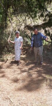 Imágenes para rendir homenaje a persona finada, estas pueden variar en su contenido.