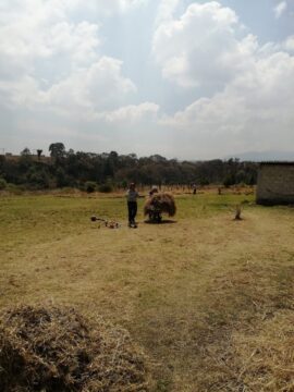 Imágenes para rendir homenaje a persona finada, estas pueden variar en su contenido.