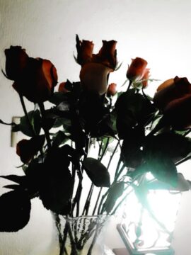 Imágenes para rendir homenaje a persona finada, estas pueden variar en su contenido.