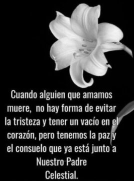 Imágenes para rendir homenaje a persona finada, estas pueden variar en su contenido.