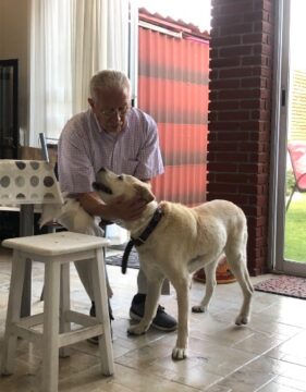 Imágenes para rendir homenaje a persona finada, estas pueden variar en su contenido.