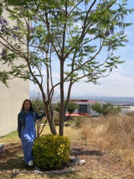 Imágenes para rendir homenaje a persona finada, estas pueden variar en su contenido.