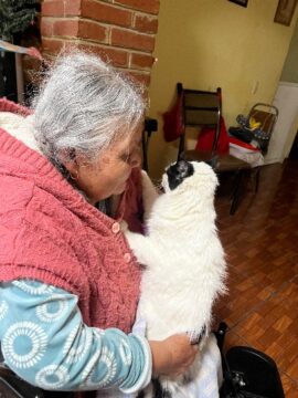 Imágenes para rendir homenaje a persona finada, estas pueden variar en su contenido.