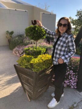 Imágenes para rendir homenaje a persona finada, estas pueden variar en su contenido.