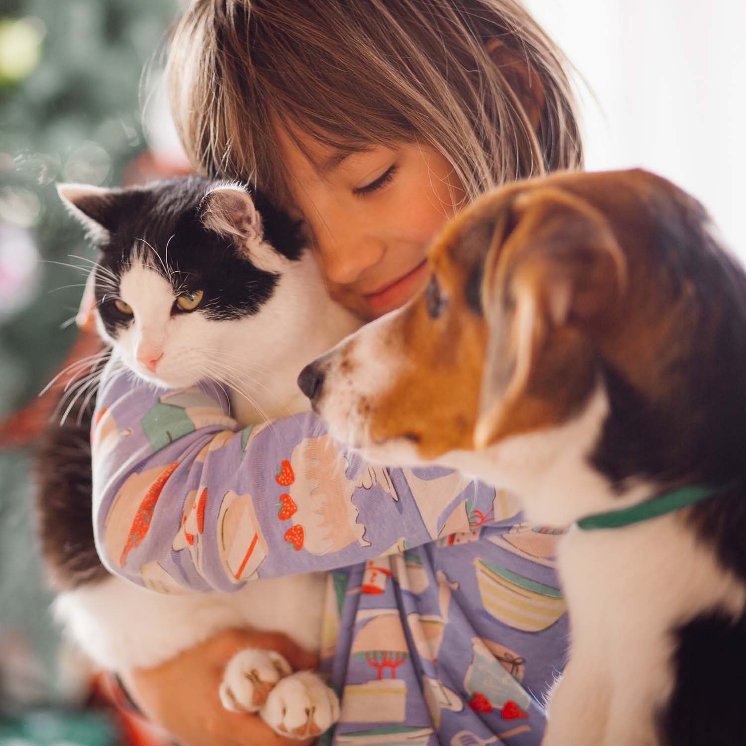 Niña con sus mascotas, las cuales son un perro y un gato; los tres están en el interior de su hogar, en el área de la sala.