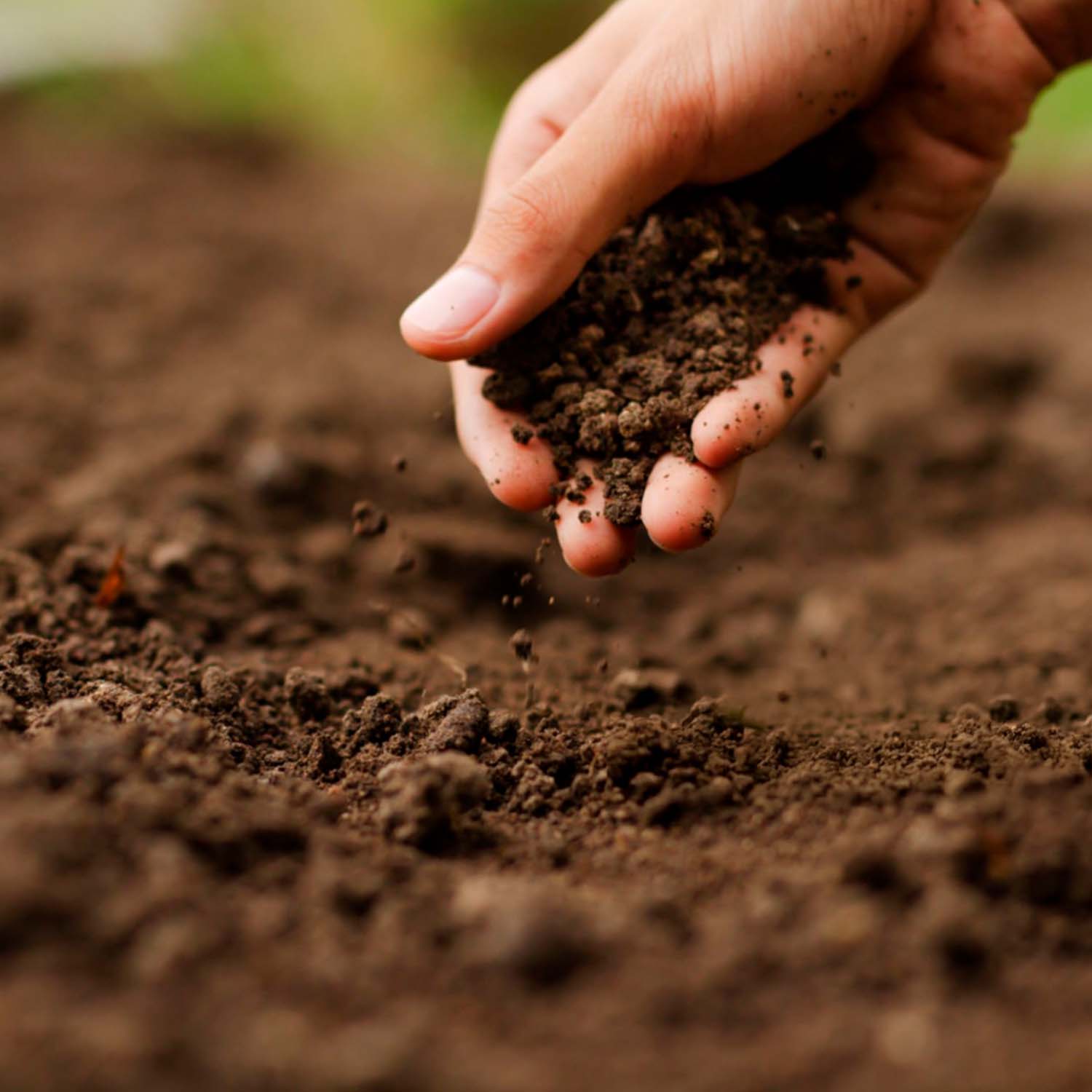 Mano recogiendo un poco de tierra del suelo.