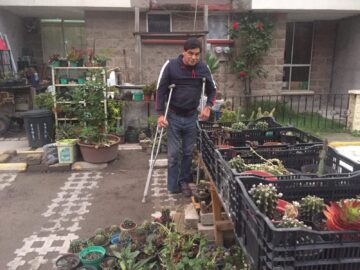 Imágenes para rendir homenaje a persona finada, estas pueden variar en su contenido.