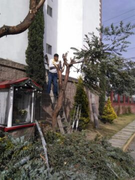 Imágenes para rendir homenaje a persona finada, estas pueden variar en su contenido.