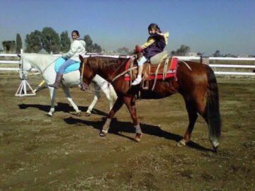 Imágenes para rendir homenaje a persona finada, estas pueden variar en su contenido.