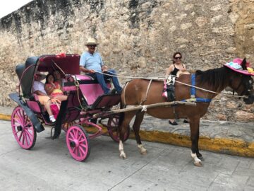 Imágenes para rendir homenaje a persona finada, estas pueden variar en su contenido.