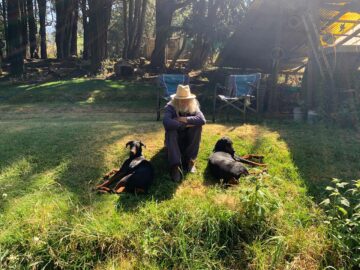 Imágenes para rendir homenaje a persona finada, estas pueden variar en su contenido.