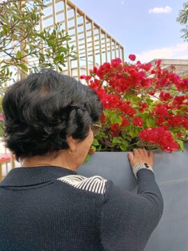 Imágenes para rendir homenaje a persona finada, estas pueden variar en su contenido.