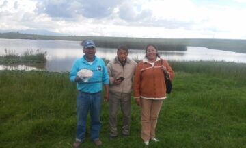 Imágenes para rendir homenaje a persona finada, estas pueden variar en su contenido.