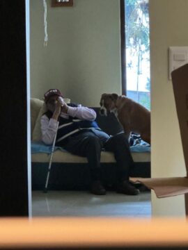 Imágenes para rendir homenaje a persona finada, estas pueden variar en su contenido.