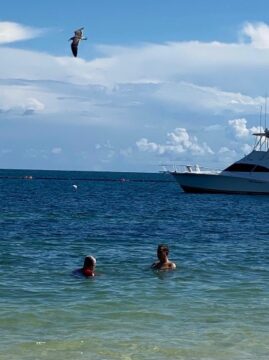 Imágenes para rendir homenaje a persona finada, estas pueden variar en su contenido.