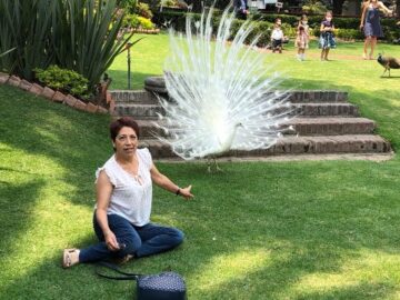 Imágenes para rendir homenaje a persona finada, estas pueden variar en su contenido.