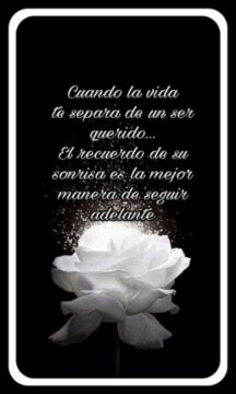 Imágenes para rendir homenaje a persona finada, estas pueden variar en su contenido.