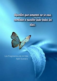 Imágenes para rendir homenaje a persona finada, estas pueden variar en su contenido.