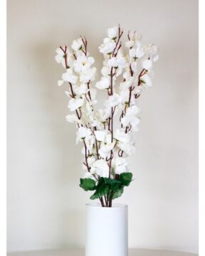 Imágenes para rendir homenaje a persona finada, estas pueden variar en su contenido.