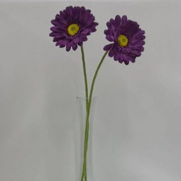 Imágenes para rendir homenaje a persona finada, estas pueden variar en su contenido.