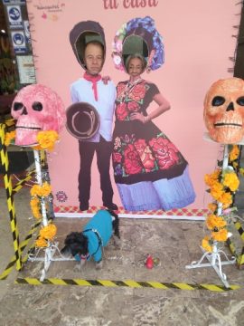 Imágenes para rendir homenaje a persona finada, estas pueden variar en su contenido.