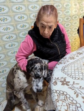 Imágenes para rendir homenaje a persona finada, estas pueden variar en su contenido.
