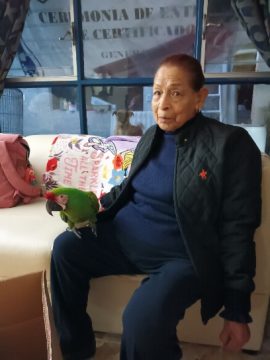 Imágenes para rendir homenaje a persona finada, estas pueden variar en su contenido.